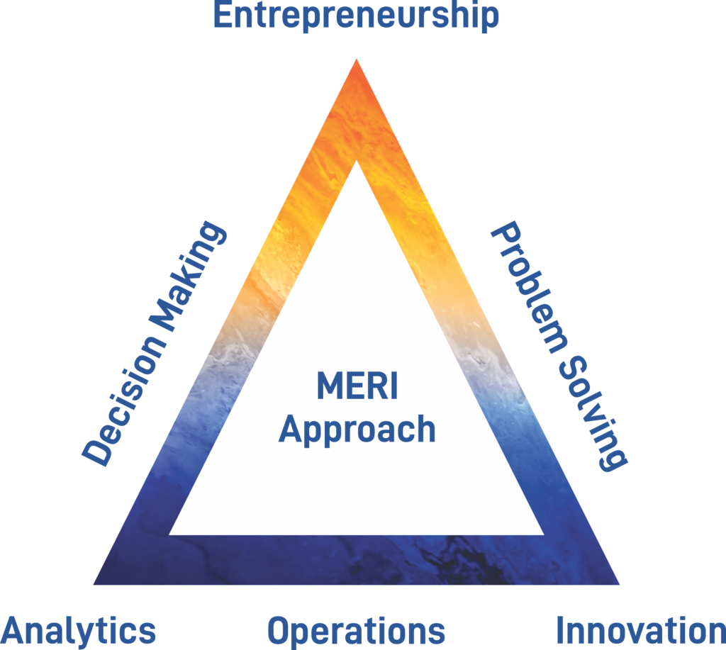 Meri Plan Example Best PGDM College in Delhi NCR - MERI, New Delhi